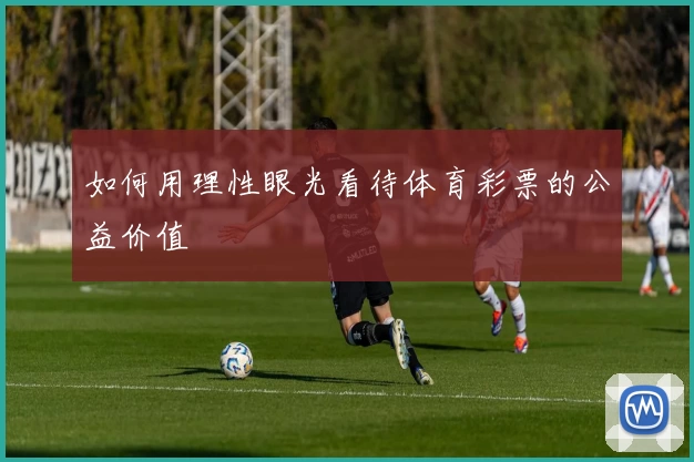 如何用理性眼光看待体育彩票的公益价值