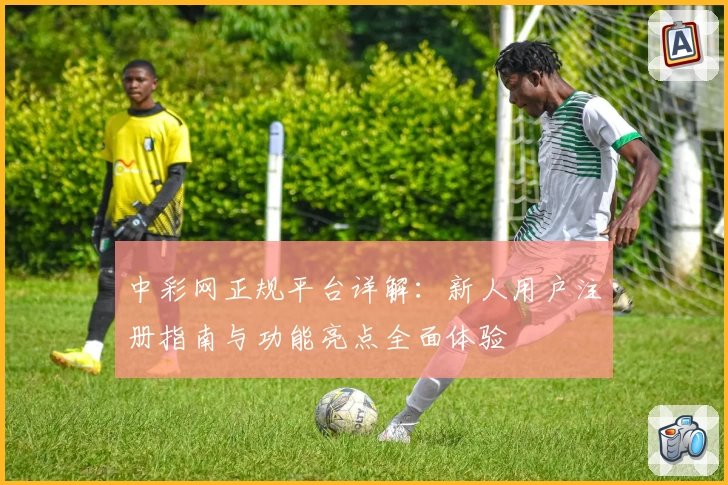 中彩网正规平台详解：新人用户注册指南与功能亮点全面体验