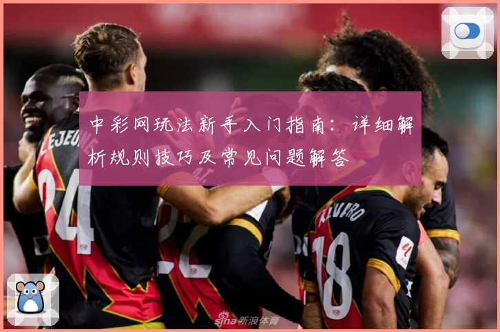 中彩网玩法新手入门指南：详细解析规则技巧及常见问题解答