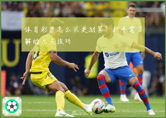 体育彩票怎么买更划算？新手需了解的几点技巧
