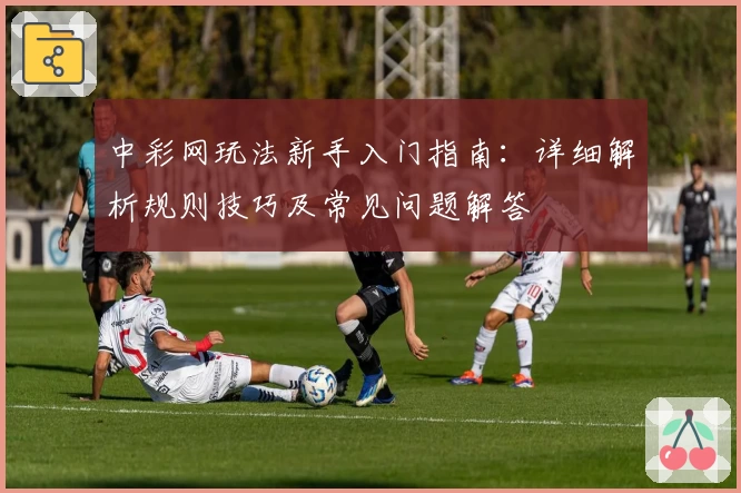 中彩网玩法新手入门指南：详细解析规则技巧及常见问题解答