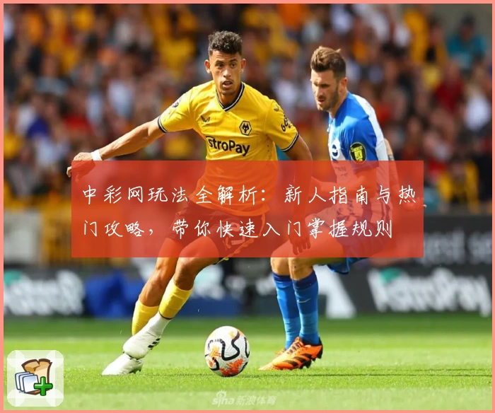 中彩网玩法全解析：新人指南与热门攻略，带你快速入门掌握规则