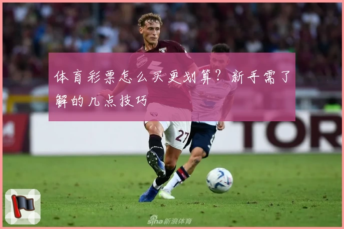 体育彩票怎么买更划算？新手需了解的几点技巧