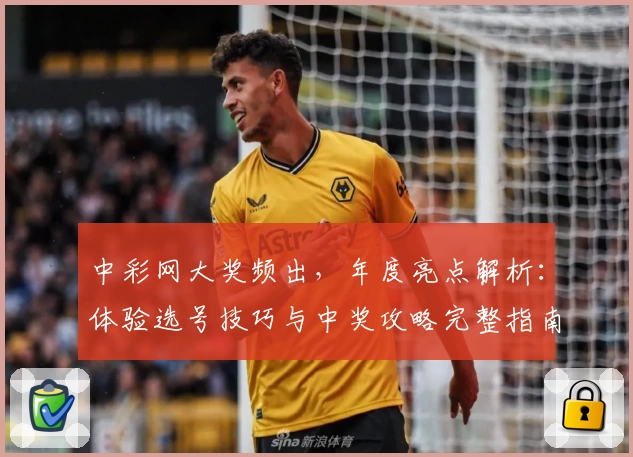 中彩网大奖频出,年度亮点解析:体验选号技巧与中奖攻略完整指南