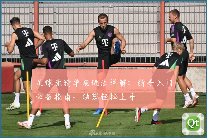 足球竞猜单场玩法详解：新手入门必备指南，助您轻松上手