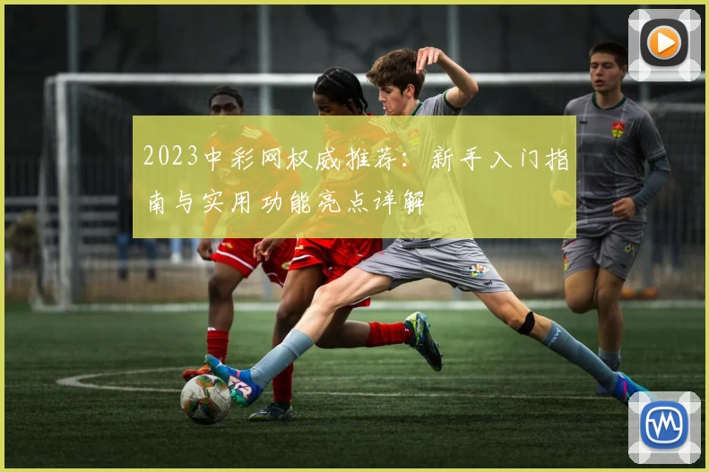 2023中彩网权威推荐：新手入门指南与实用功能亮点详解