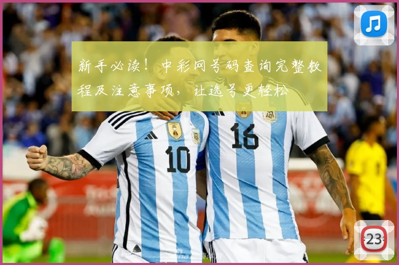 新手必读!中彩网号码查询完整教程及注意事项,让选号更轻松